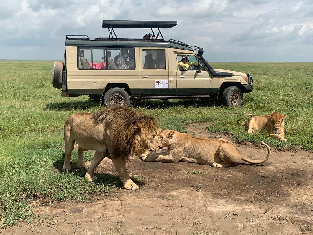 Africa Celebrity Tours & Travels