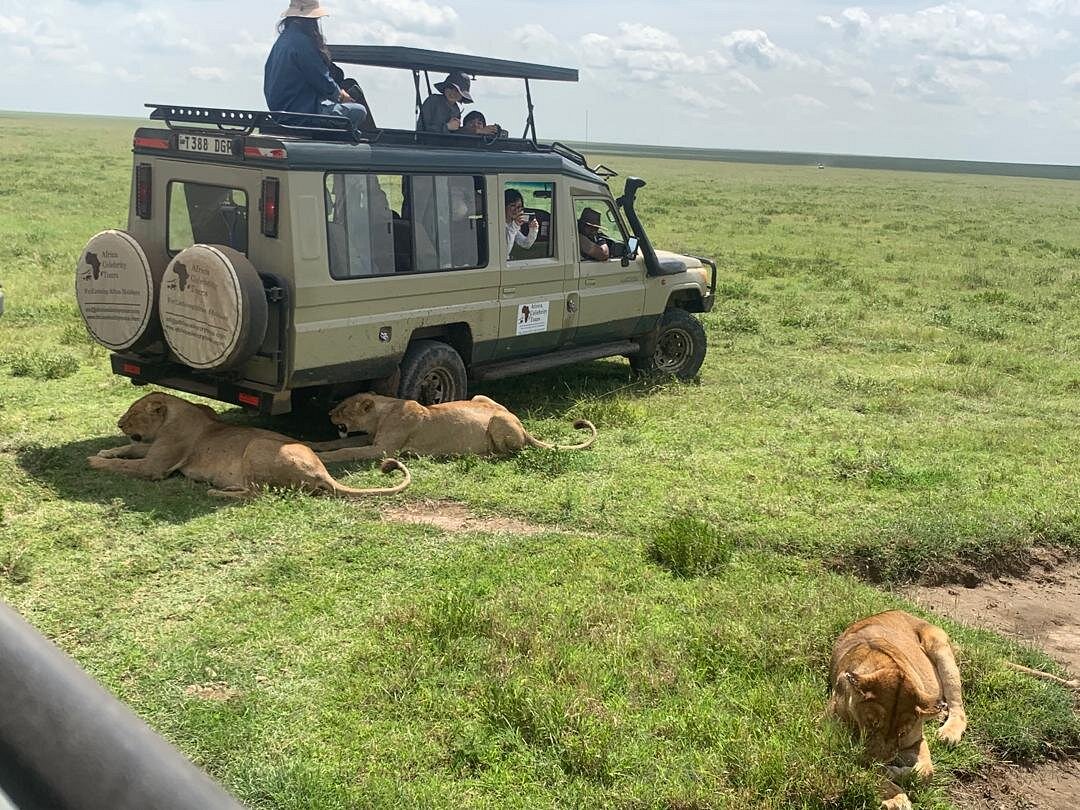 Africa Celebrity Tours & Travels safari tour operator
