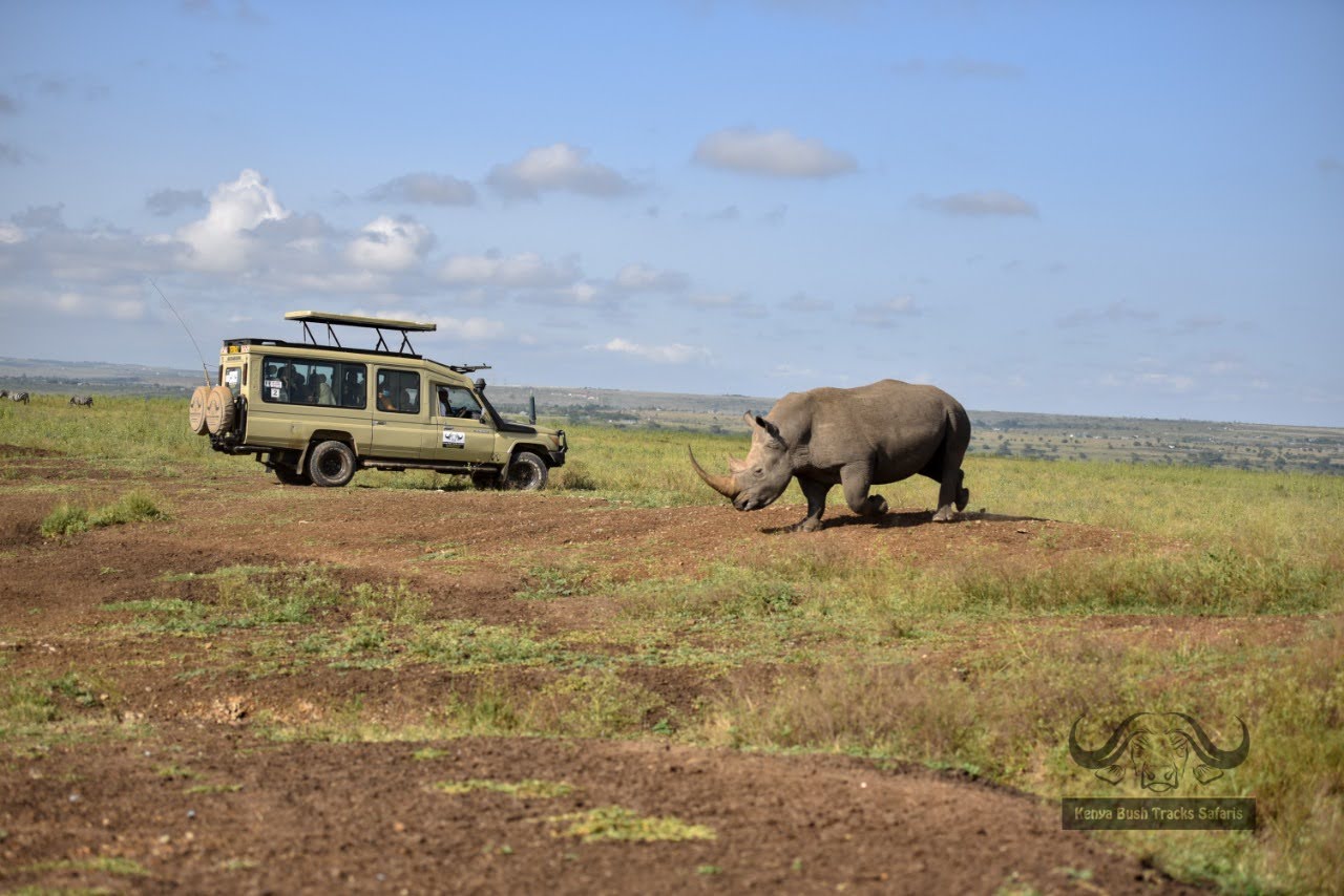 6 Day Amboseli, Hell's Gate & Mara Scenic Safari